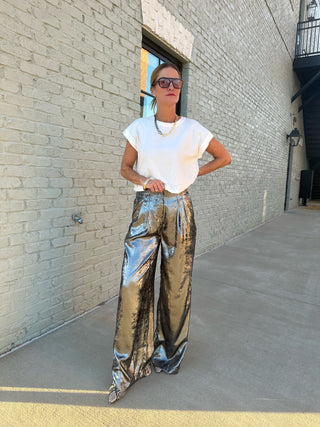 Glam | Bria Front Pleats Pants Silver