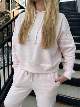 Z Supply | Infield Hoodie Jogger Set Pink Salt