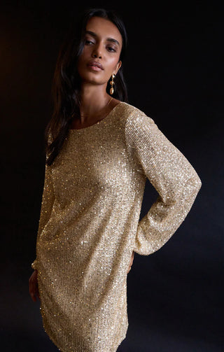 Z Supply | Andromeda Sequin Dress Champagne